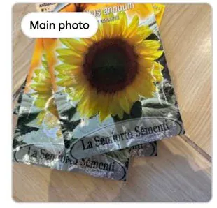 Sunflower seeds