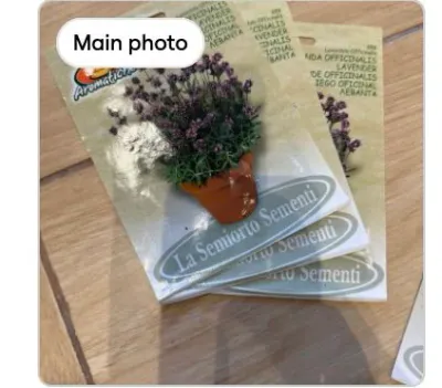 Lavender seeds